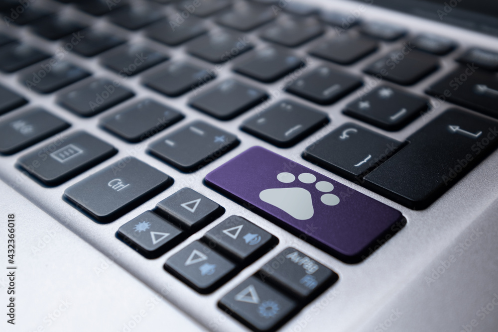 Laptop keyboard with a purple key and a drawn pet footprint. Veterinary, pet, online concept. Laptop keyboard with a purple key and a drawn pet footprint. Veterinary, pet, online concept.