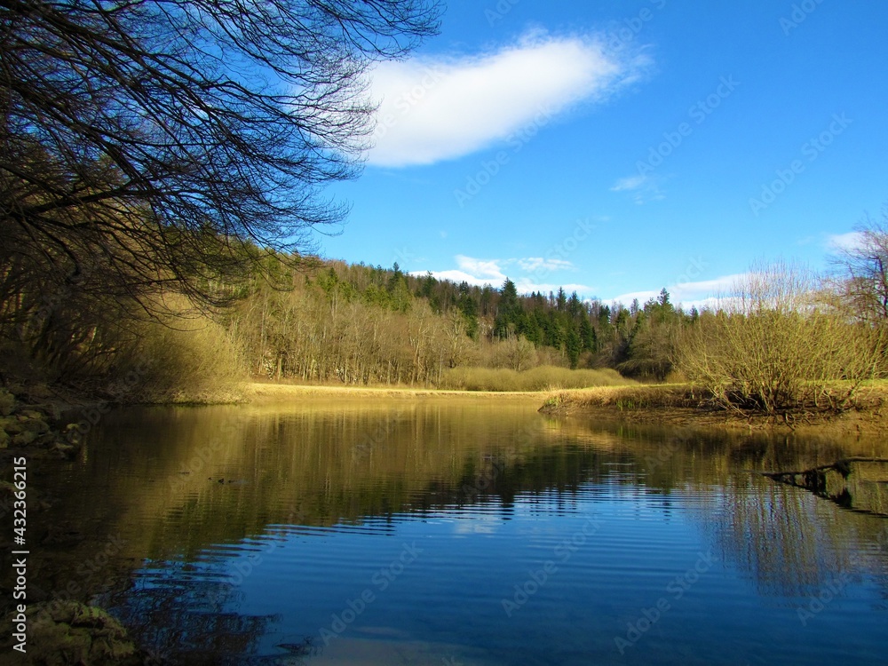 Fototapeta premium Scenic river Rak in Rakov Skocjan Notranjska, Slovenia with a meadow on one side and a forest on the other and a reflection of the trees in the river