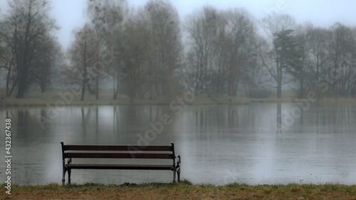 Blach and white in the park