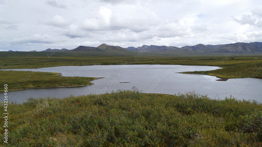 Permafrost lake in Yukon tundra, thermokarst lake, also called thaw depression, formed by thawing ice-rich permafrost, global warming climate change concept, Canada