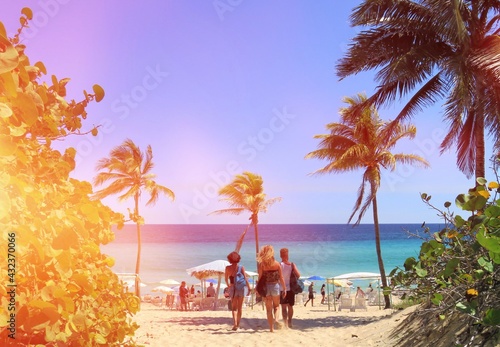 Photography friends going to the beach