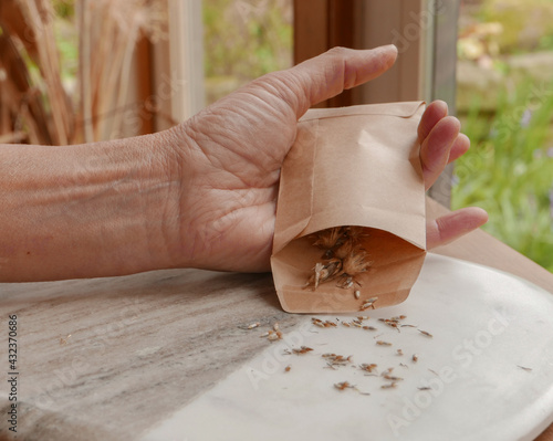 фотографія ladies hand emptying a packet of wild flower seeds onto a marble board