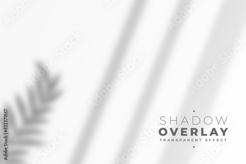 shadow overlay of leaves and window pane in transparent style
