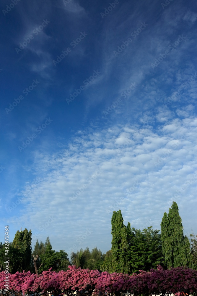 Obraz premium White clouds and blue sky