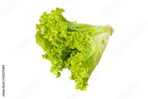Lettuce salad leaves isolated on white background.