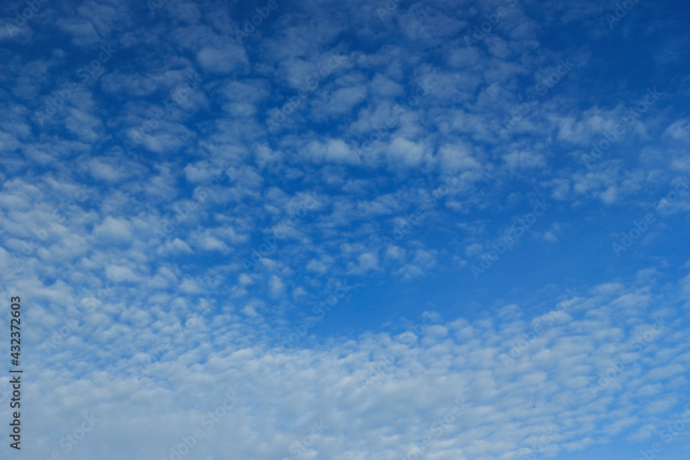Fototapeta premium White clouds and blue sky