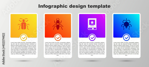 Set Chafer beetle, Ant, Book about insect and Spider. Business infographic template. Vector