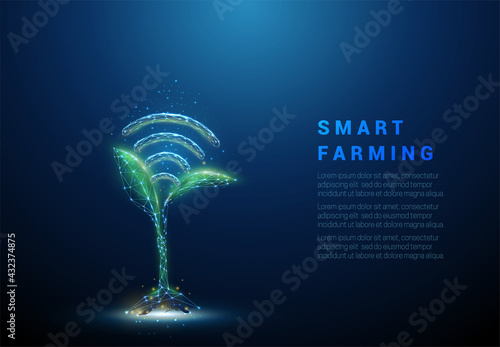 Green plant sprout with blue wi-fi symbol