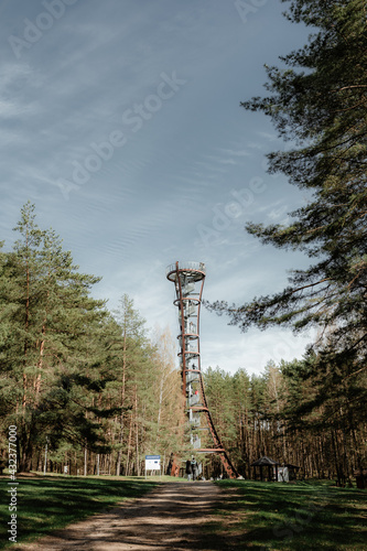 Vertical shot of the Labanoras Regional Park Observation Tower photo