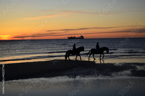 Sunset on the beach with horses © Diego