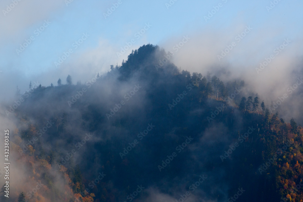 Mountain with Morning Mist