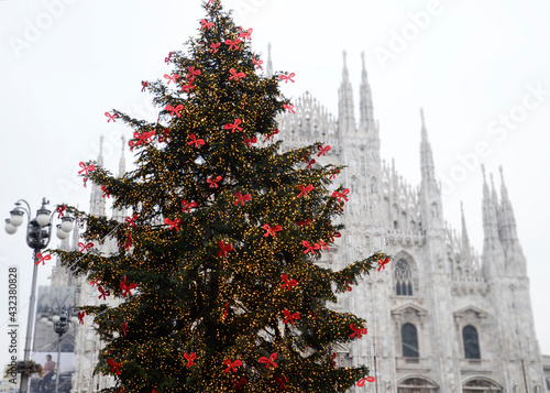 Huge Christmas Tree in front of Metropolitan Cathedral-Basilica of the Nativity of Saint Mary photo