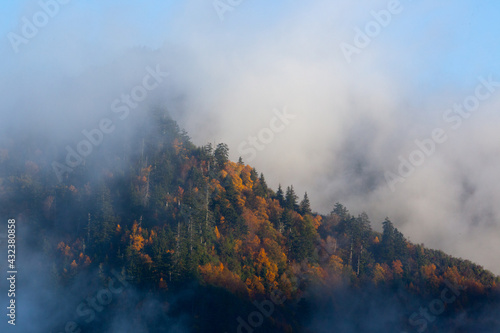 Mountain with Morning Mist © Allen Penton