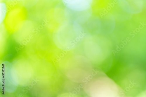 abstract,green bokeh background 