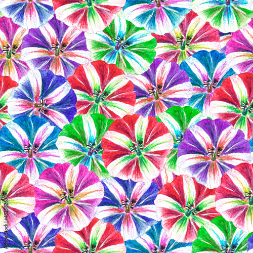 seamless pattern of flowers bindweed multicolored drawn with colored pencils and watercolors