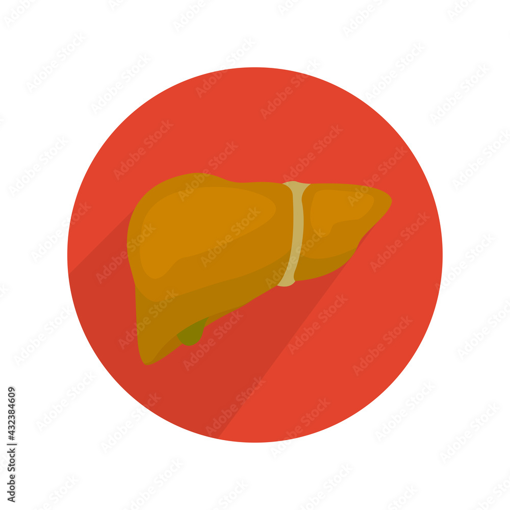 image of fatty liver, disease, vector illustration image of fatty liver, disease, vector illustration