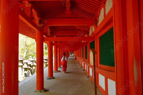 West Cloister at Kasugataisha Shrine in Nara prefecture, Japan - 日本 奈良 春日大社 参道 西回廊