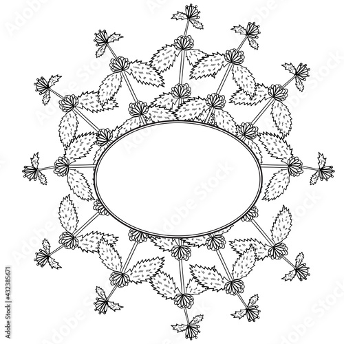 White horehound, border frame dd ww herb