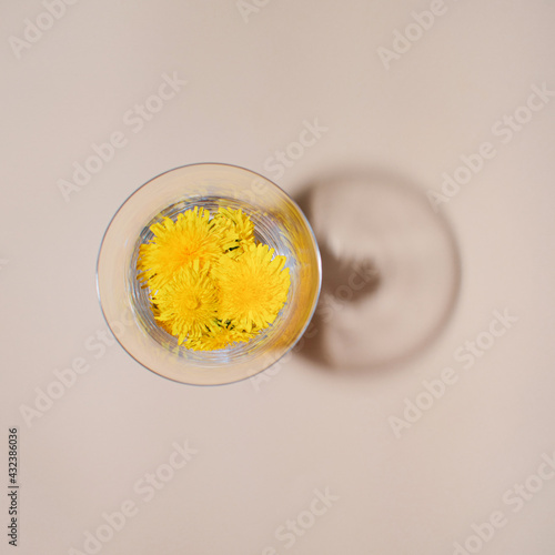 Retro arrangement of a sunlit glass filled with vivid yellow dandelions. Pastel beige background, minimalistic floral concept.