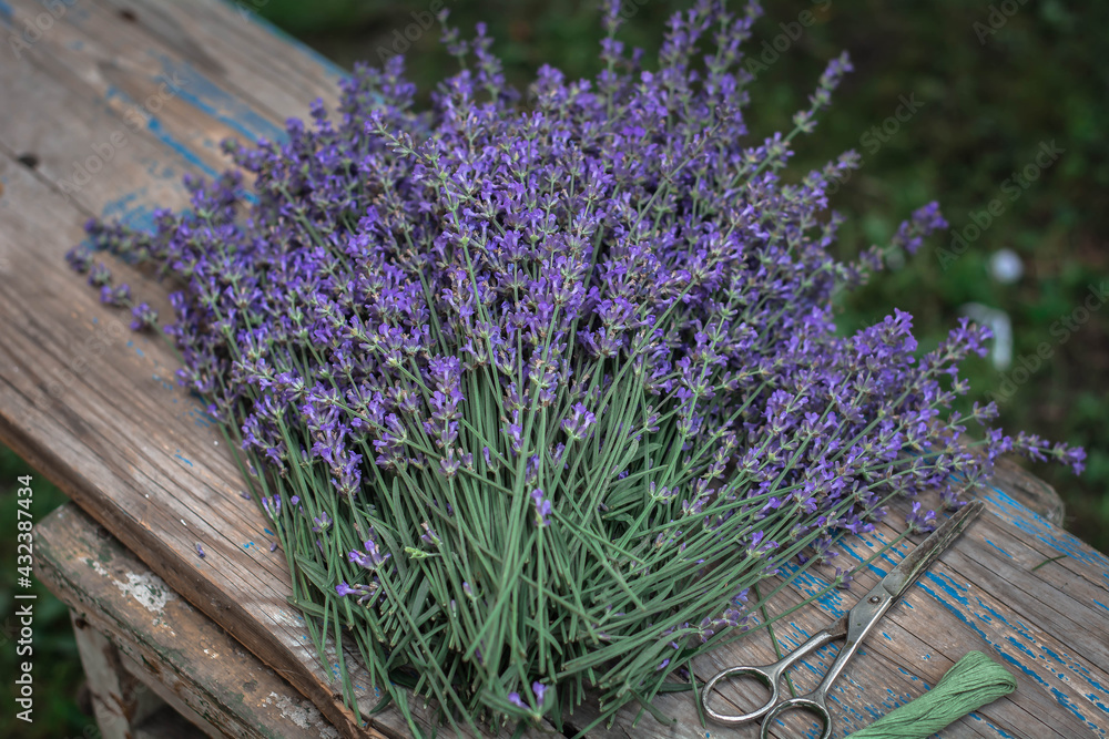 Fototapeta bunch of lavender