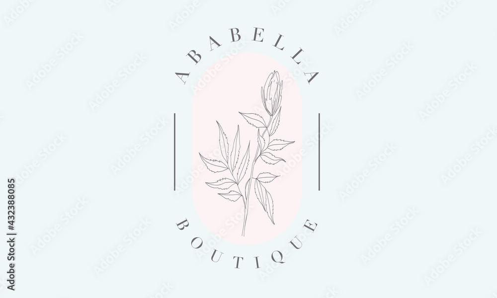 Botanical logo design Botanical logo design