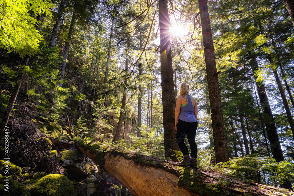Adventurous Woman hiking on a fallen tree in a beautiful green rain forest during a sunny spring day. Taken in Squamish, North of Vancouver, British Columbia, Canada.