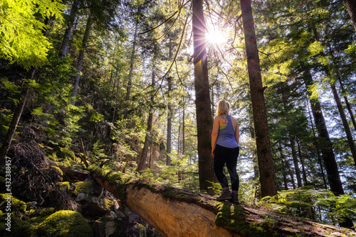 Adventurous Woman hiking on a fallen tree in a beautiful green rain forest during a sunny spring day. Taken in Squamish  North of Vancouver  British Columbia  Canada.