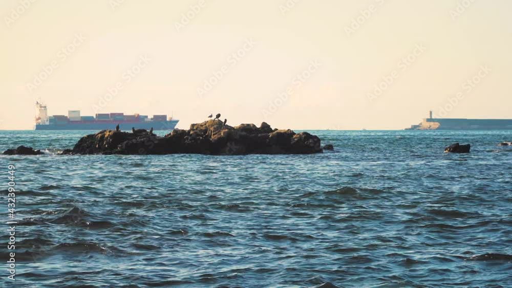 4K big cargo ship cruising in the background of a rock with some birds on top of it.