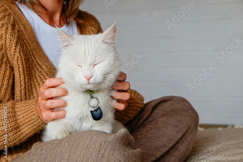 Fotografie Portrait of young woman holding cute white turkish angora cat with blue eyes