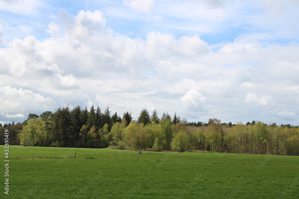 Wandern auf den Nordpfaden in Rotenburg Wümme nahe der Gemeinde Elm (Hiking in North-Western Germany) | Feldwege und Wolken (field paths and clouds) Wandern auf den Nordpfaden in Rotenburg Wümme nahe der Gemeinde Elm (Hiking in North-Western Germany) | Feldwege und Wolken (field paths and clouds)