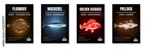 Sea Fish Realistic Poster Set