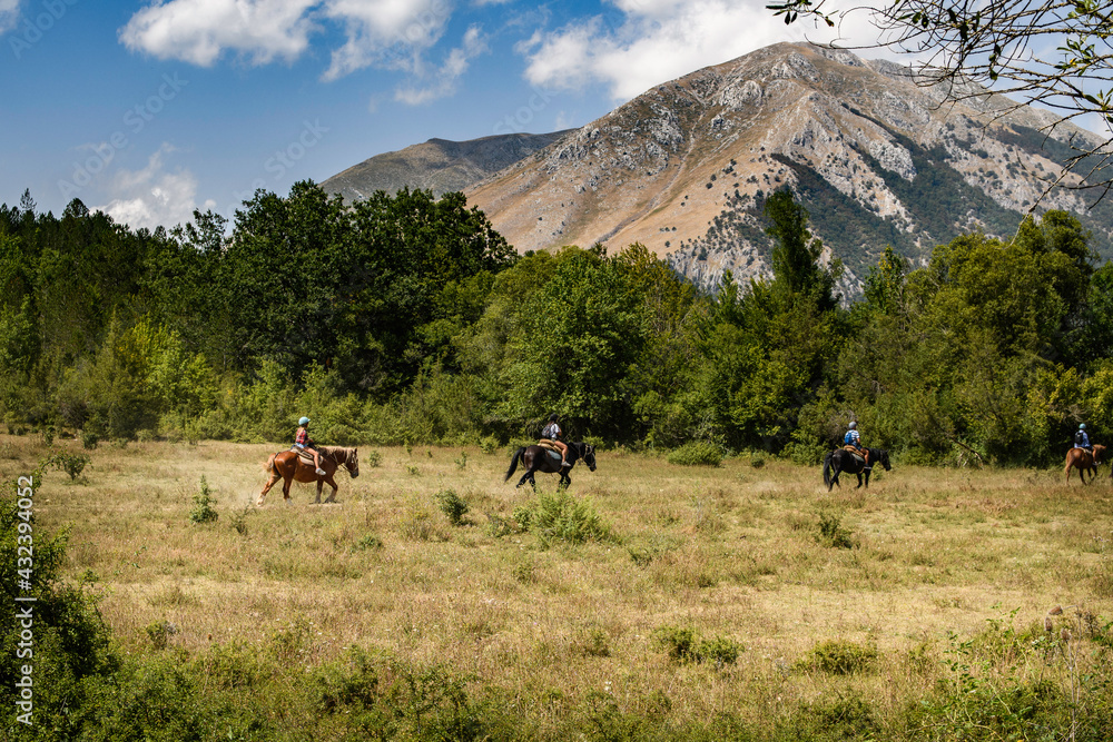Obraz premium Cavalli Horses