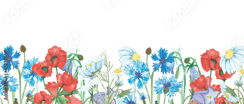 Watercolor hand painted nature floral banner line with red poppy, white chamomile, blue cornflower and lilac bluebell flowers bouquet on the white background for card design