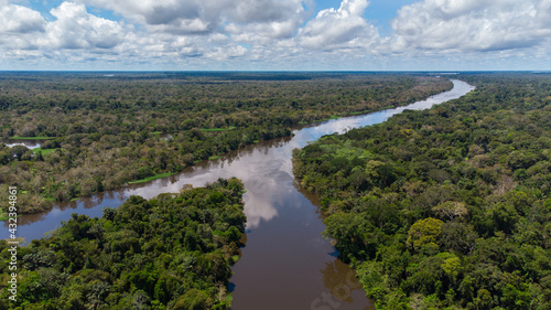 Wallpaper Mural rainforest Torontodigital.ca