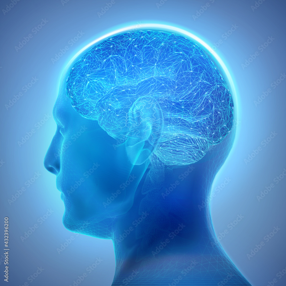 Profile head of a man with visible brain featured as a complex network of intricate connections. 3D illustration in wireframe style Profile head of a man with visible brain featured as a complex network of intricate connections. 3D illustration in wireframe style