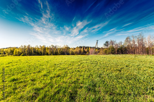 Meadow with electric poles in the woods on a background of blue sky with clouds