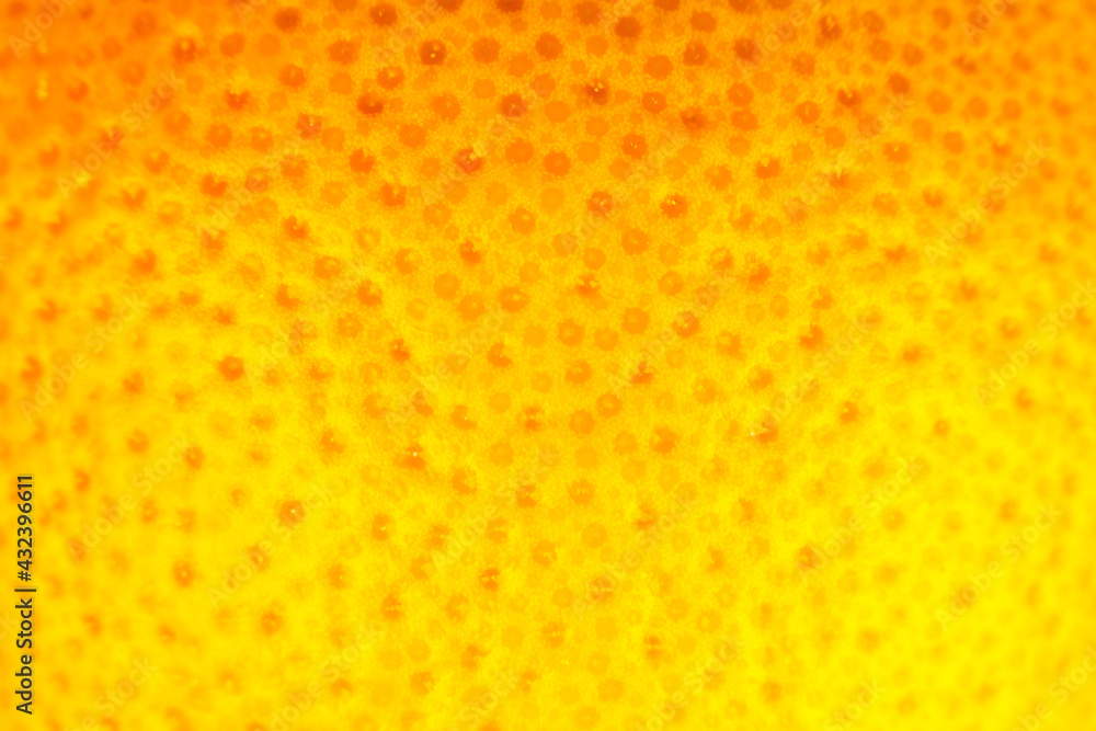 Close up photo of Grapefruit peel texture. Exotic ripe fruit background, macro view. .Human skin problem concept, acne and cellulite. Beautiful nature wallpaper. Close up photo of Grapefruit peel texture. Exotic ripe fruit background, macro view. .Human skin problem concept, acne and cellulite. Beautiful nature wallpaper.
