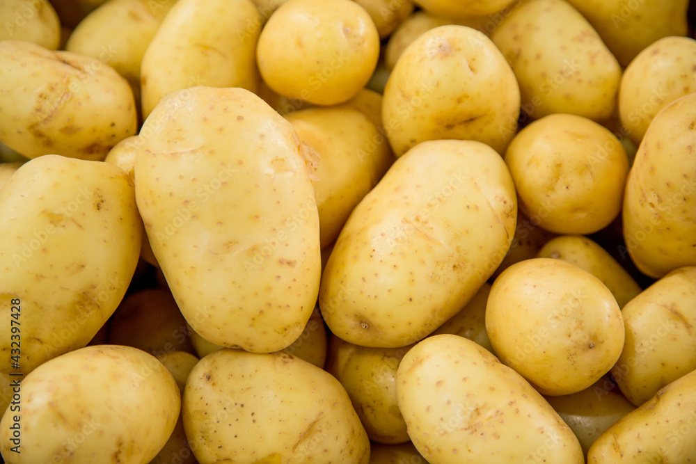 Vegetables Pictures. great for menu and supermarkets Vegetables Pictures. great for menu and supermarkets