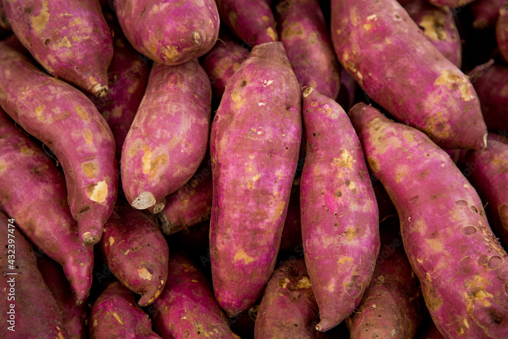 Vegetables Pictures. great for menu and supermarkets Vegetables Pictures. great for menu and supermarkets