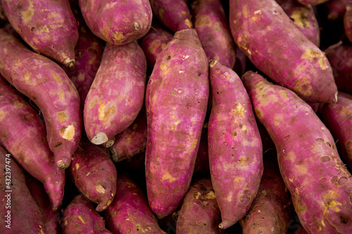 Vegetables Pictures. great for menu and supermarkets