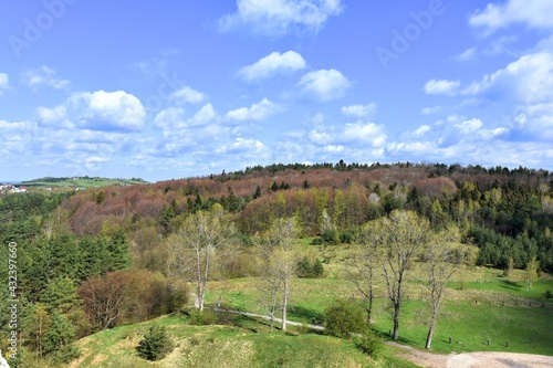 Jura Krakowsko-Częstochowska, Szlak Orlich Gniazd, podzamcze w Rabsztynie