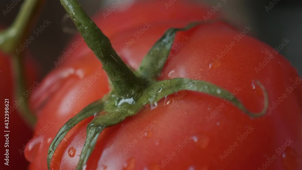 Beautiful red tomatoes, water drops macro video. Fresh wet healthy tomato for eating and cooking from organic farm. Selective focus. Beautiful red tomatoes, water drops macro video. Fresh wet healthy tomato for eating and cooking from organic farm. Selective focus.
