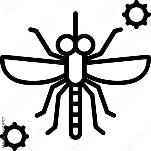 mosquito