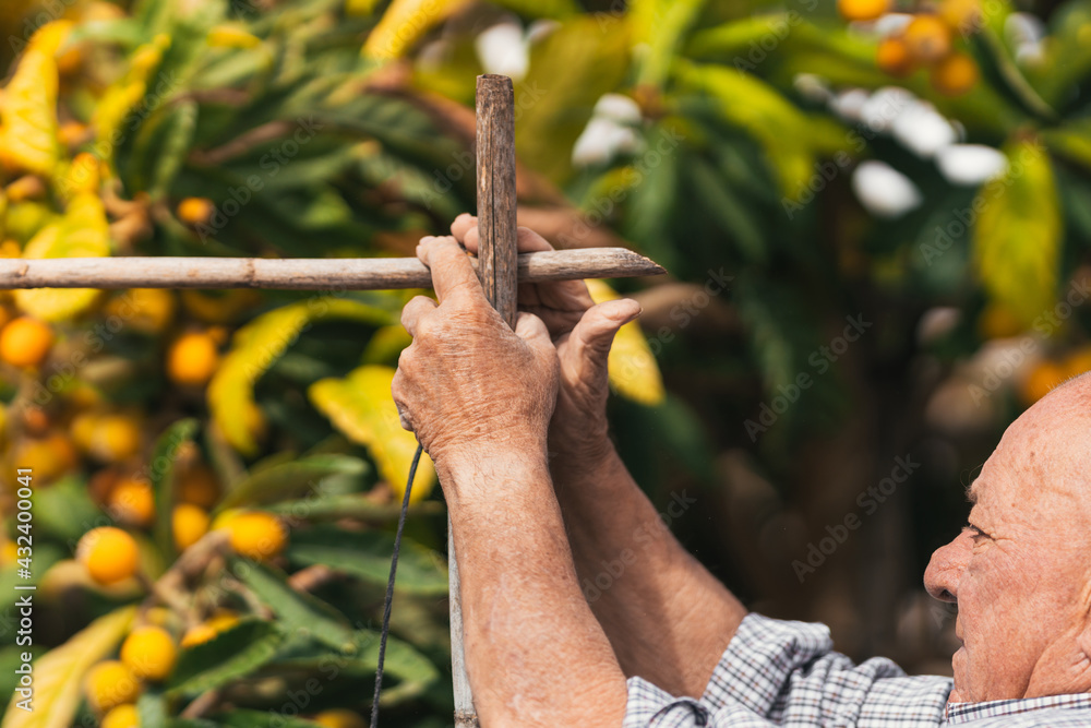 Elderly man building a reed-based structure in a garden