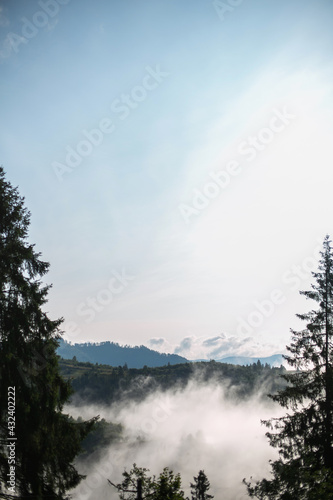 Sunny morning in mountains. Beautiful view on mountain hill with trees in fog and clouds in sunshine