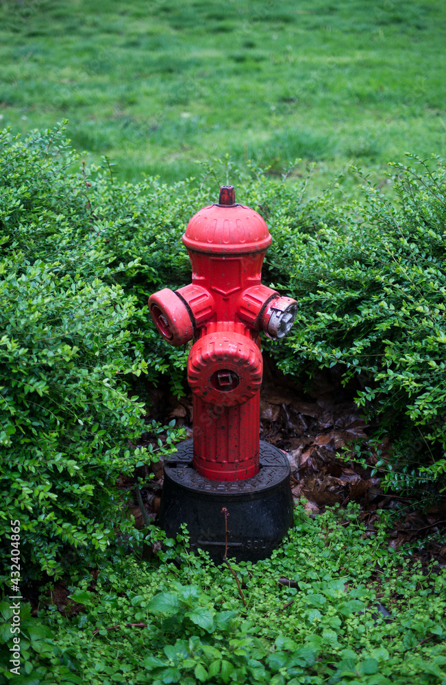 Closeup of red fire hydrant in a public garden Closeup of red fire hydrant in a public garden