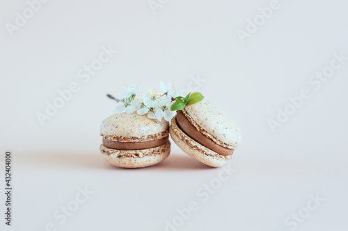Tasty French macarons with spring blossom on a pastel background.