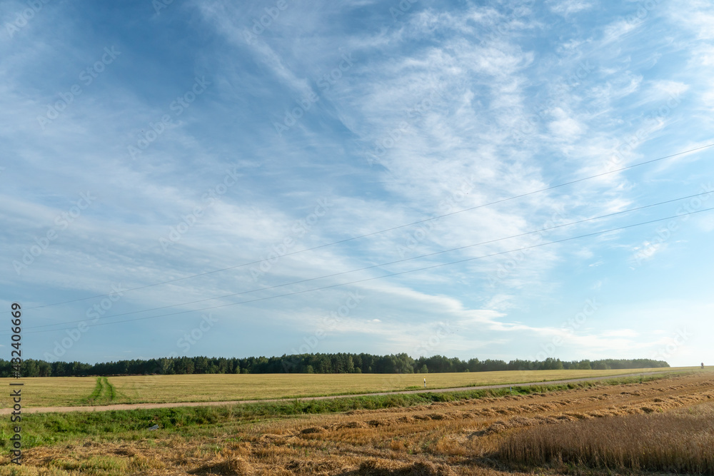 An empty agricultural field after harvesting. A dirt road runs through the field. Summer landscape, blue sky and clouds. Agro-industrial complex near the forest in an ecological place
