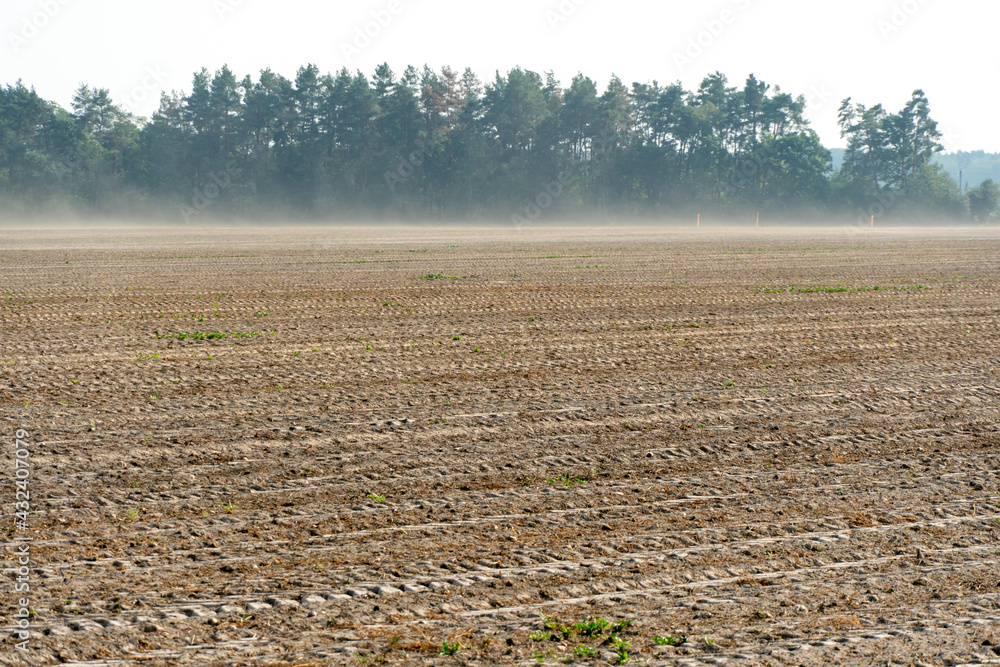 traces of cleaning equipment on the sand. An empty field after harvesting. Dry, lifeless ground close-up with traces of heavy machinery. Agricultural field traces of cleaning equipment on the sand. An empty field after harvesting. Dry, lifeless ground close-up with traces of heavy machinery. Agricultural field