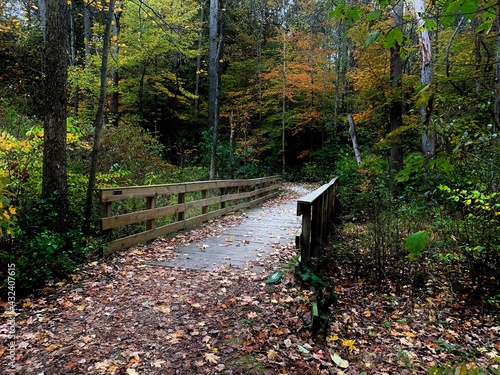 autumn in the park